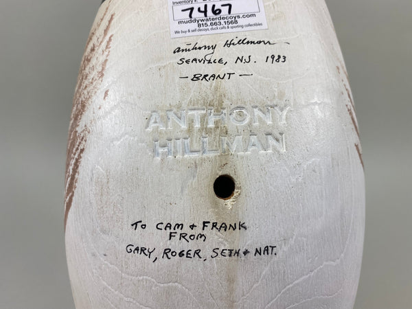 Anthony Hillman Preening Brant, all Original (#7467)