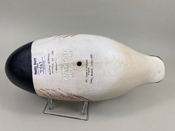 Anthony Hillman Preening Brant, all Original (#7467)