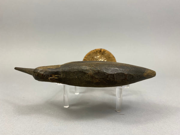 Unknown Shorebird Possibly a Peep, Circa 1900's (#7474)