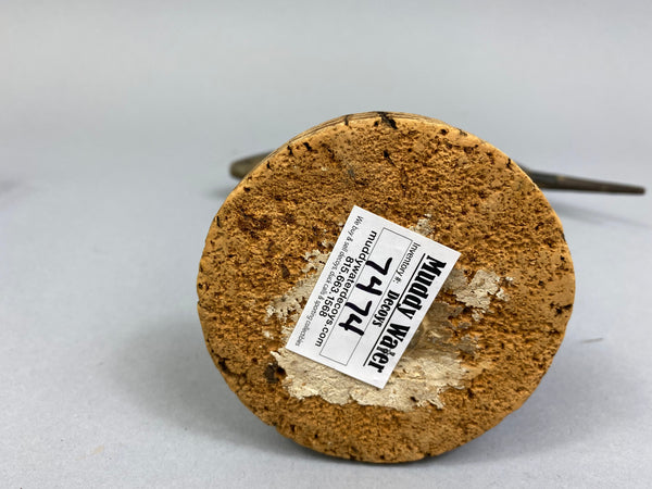 Unknown Shorebird Possibly a Peep, Circa 1900's (#7474)