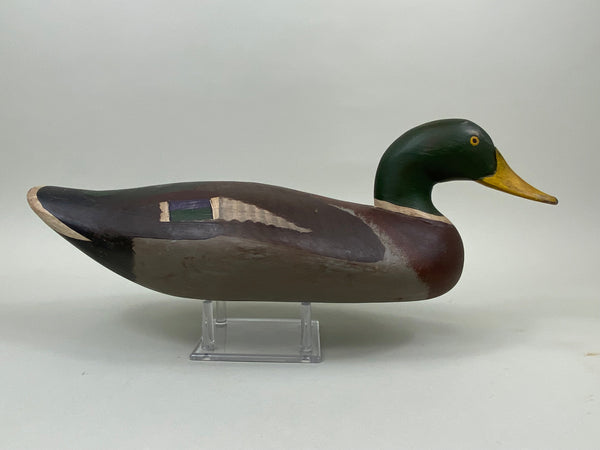 Havre de Grace Mallard Drake (#7479)