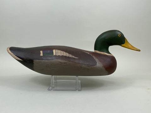 Havre de Grace Mallard Drake (#7479)