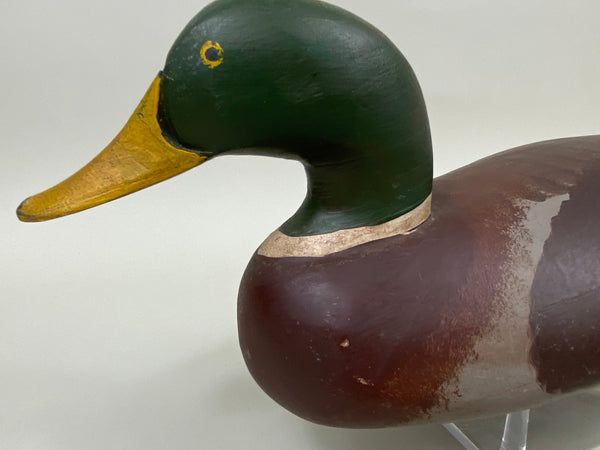 Havre de Grace Mallard Drake (#7479)