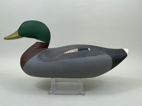 Chesapeake Bay Mallard Drake (#7480)