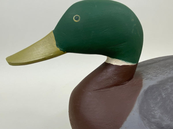 Chesapeake Bay Mallard Drake (#7480)