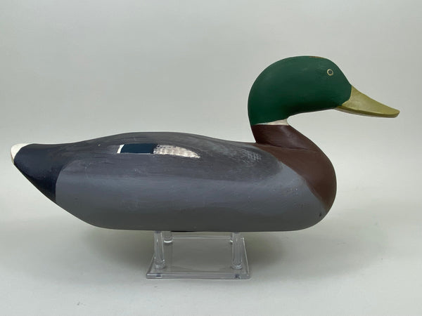 Chesapeake Bay Mallard Drake (#7480)