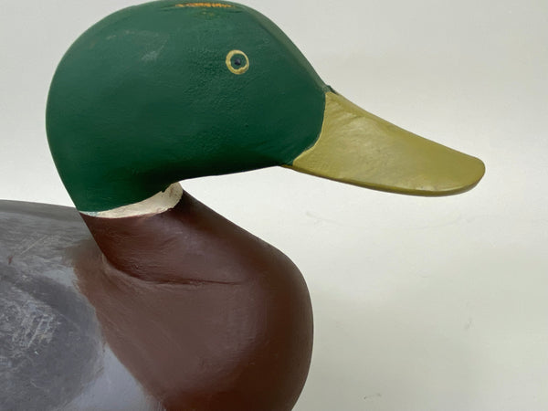 Chesapeake Bay Mallard Drake (#7480)