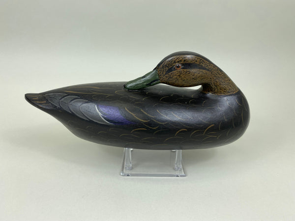 Charles Moore Perdew Style Sleeper Black Duck (#7504)