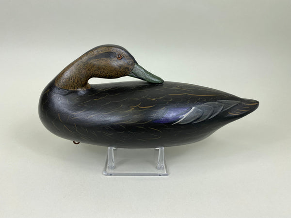 Charles Moore Perdew Style Sleeper Black Duck (#7504)