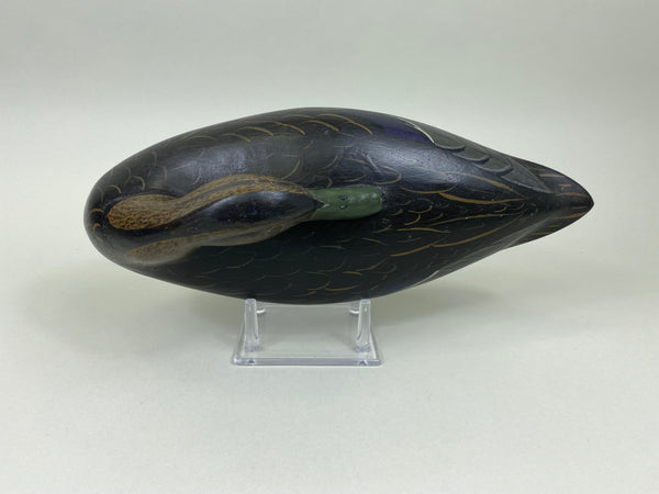 Charles Moore Perdew Style Sleeper Black Duck (#7504)