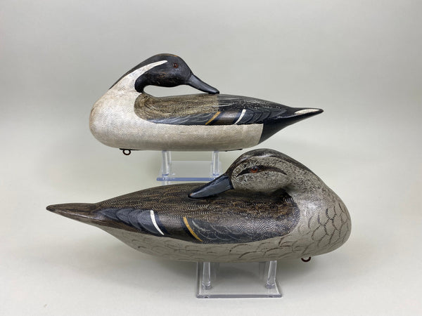 Perdew Style Pintails Pair by Charles Moore (#7505)