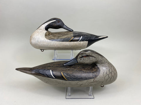 Perdew Style Pintails Pair by Charles Moore (#7505)