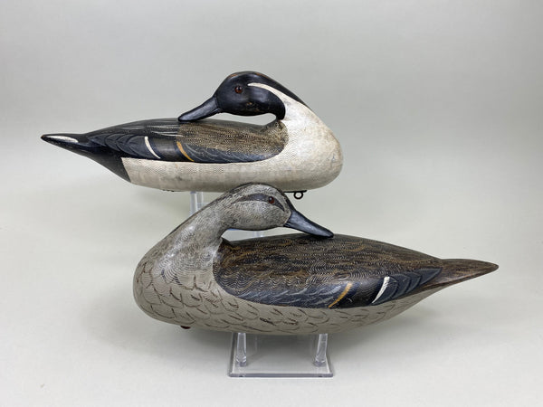 Perdew Style Pintails Pair by Charles Moore (#7505)