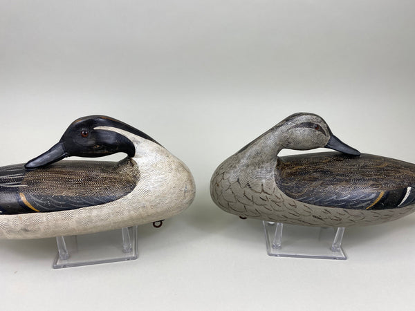 Perdew Style Pintails Pair by Charles Moore (#7505)