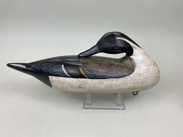 Perdew Style Pintails Pair by Charles Moore (#7505)