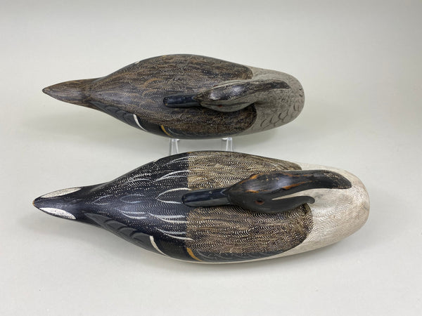 Perdew Style Pintails Pair by Charles Moore (#7505)