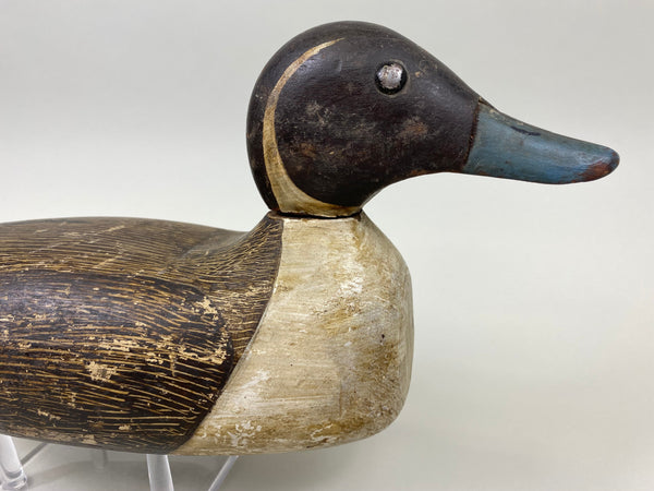 Tule Lake Pintail, Original Paint, Circa 1940's (#7516)