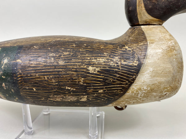 Tule Lake Pintail, Original Paint, Circa 1940's (#7516)