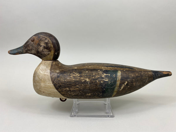 Tule Lake Pintail, Original Paint, Circa 1940's (#7516)