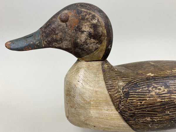 Tule Lake Pintail, Original Paint, Circa 1940's (#7516)