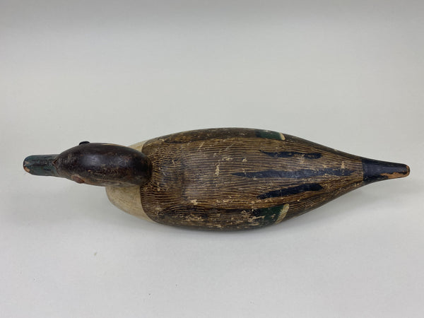 Tule Lake Pintail, Original Paint, Circa 1940's (#7516)