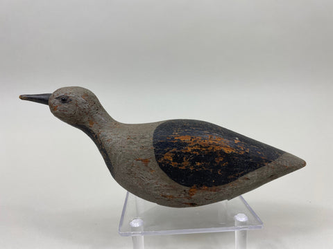 Unknown Plover Shorebird, Circa 1900's (#7518)