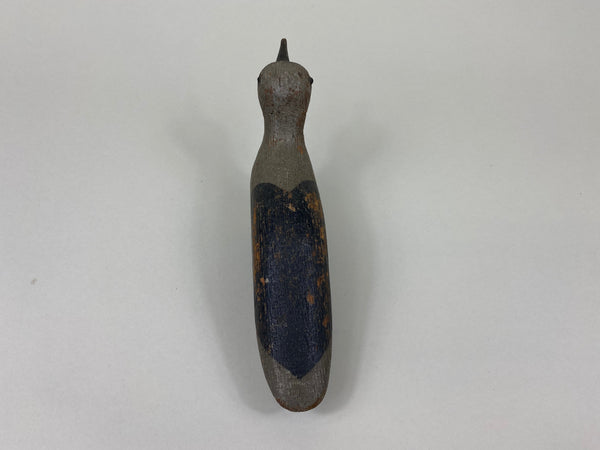 Unknown Plover Shorebird, Circa 1900's (#7518)