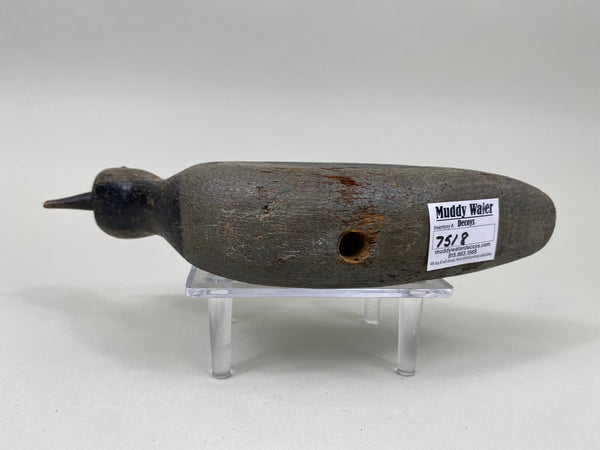 Unknown Plover Shorebird, Circa 1900's (#7518)