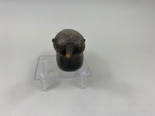 Unknown Plover Shorebird, Circa 1900's (#7518)