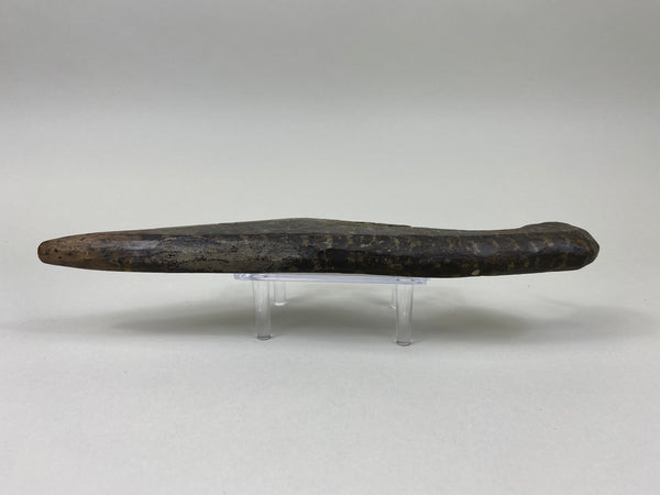 Early Shorebird, Circa 1890's (#7520)