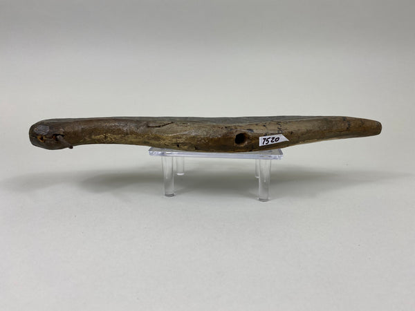 Early Shorebird, Circa 1890's (#7520)