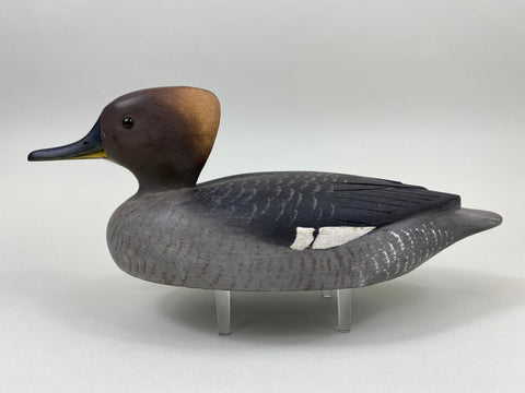 Reg Bloom Hooded Merganser Hen (#7523)