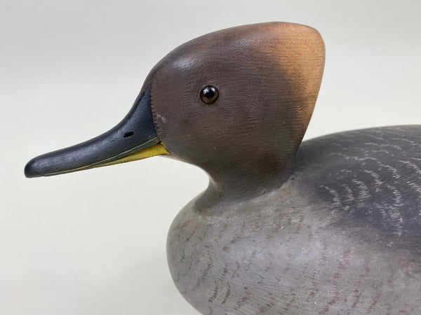 Reg Bloom Hooded Merganser Hen (#7523)