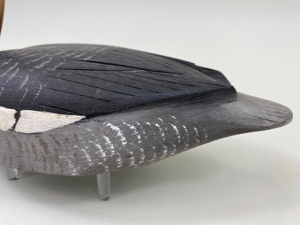 Reg Bloom Hooded Merganser Hen (#7523)