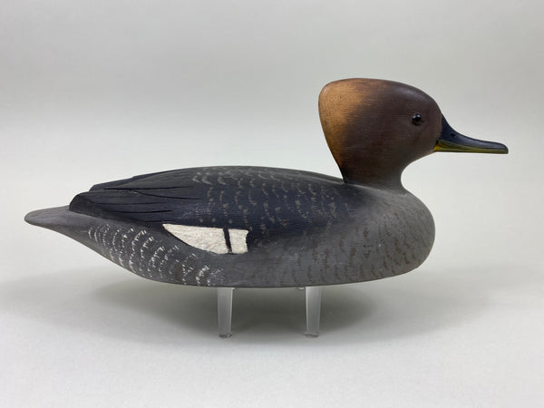 Reg Bloom Hooded Merganser Hen (#7523)