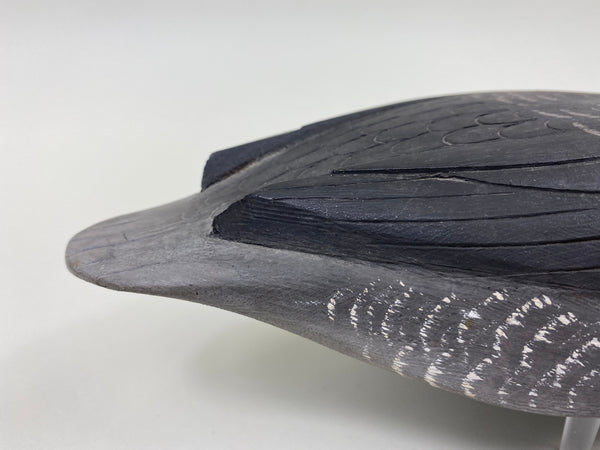 Reg Bloom Hooded Merganser Hen (#7523)