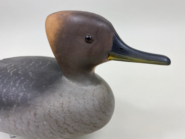 Reg Bloom Hooded Merganser Hen (#7523)