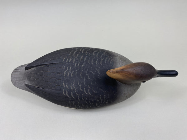 Reg Bloom Hooded Merganser Hen (#7523)