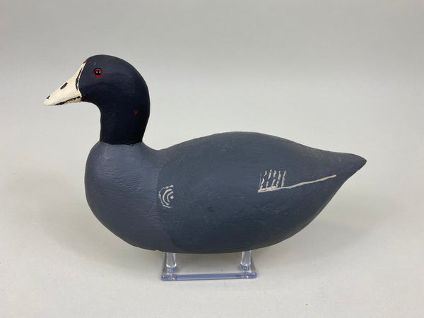 Paul Doering Coot / Mud Hen (#7536)