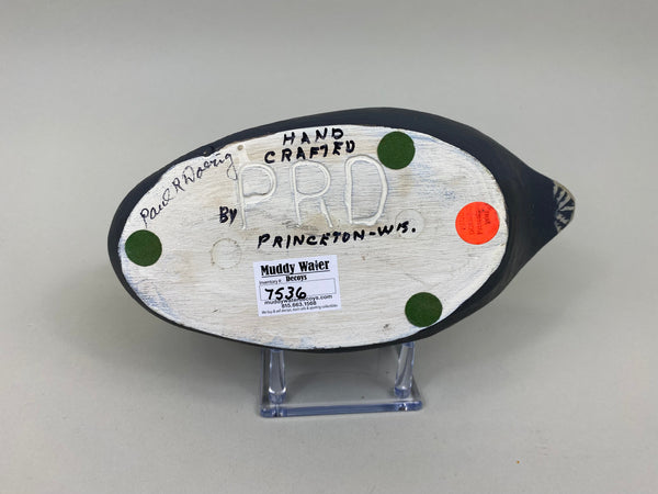 Paul Doering Coot / Mud Hen (#7536)