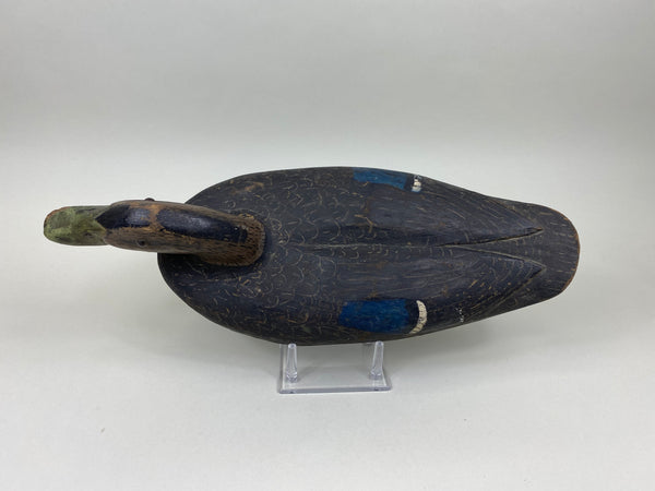 Unknown Black Duck (#7540)