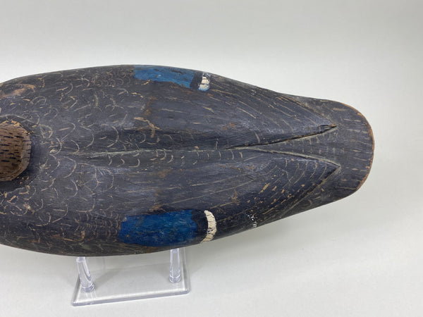 Unknown Black Duck (#7540)