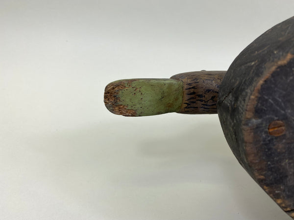 Unknown Black Duck (#7540)