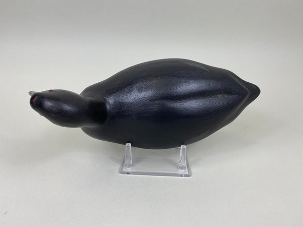 Torry Ward, Charlie Moore Coot (#7546)