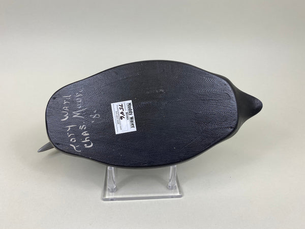 Torry Ward, Charlie Moore Coot (#7546)