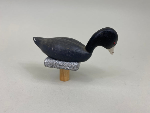 Miniature Coot (#7548)