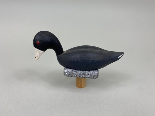 Miniature Coot (#7548)