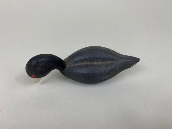 Miniature Coot (#7548)