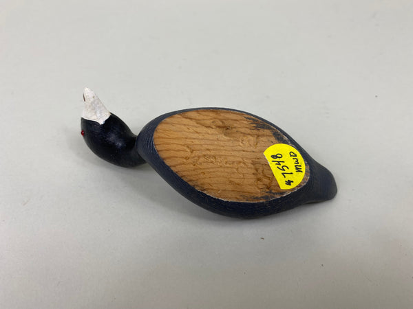 Miniature Coot (#7548)