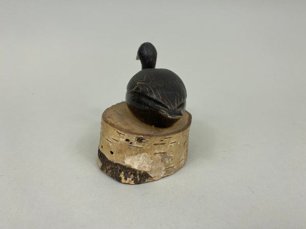 Unknown Miniature Coot (#7549)